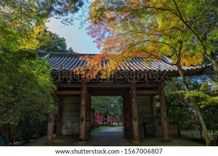 Daigoji temple and autumn maple trees