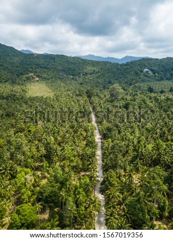Aerial view of a road running through the palm grove of Koh Phangan Island. Thailand
