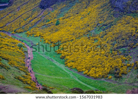 Beautiful scenic landscape of Scotland nature.