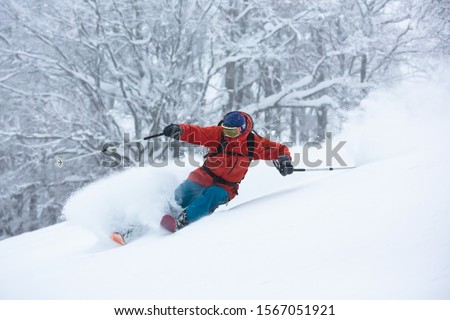 A skier is in the deep snow. Good powder day. Funny skiing.Beautiful snowy forest. Royalty-Free Stock Photo #1567051921