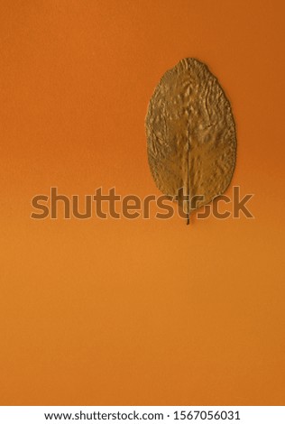 Profile of a Single Leaf on Tangerine Orange Backdrop.  Winter dry leaf in profile for an advertising message,