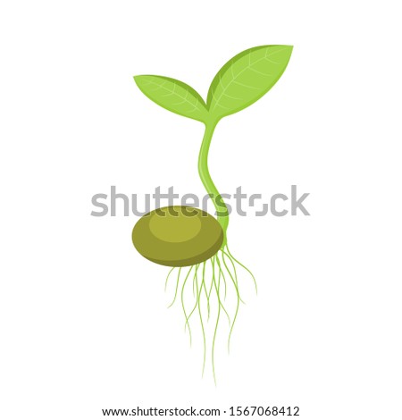 Little green plant seedling germinating from seed icon. Vector illustration Royalty-Free Stock Photo #1567068412