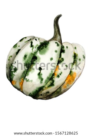 vegetable pumpkin green-white spots
painted in watercolor