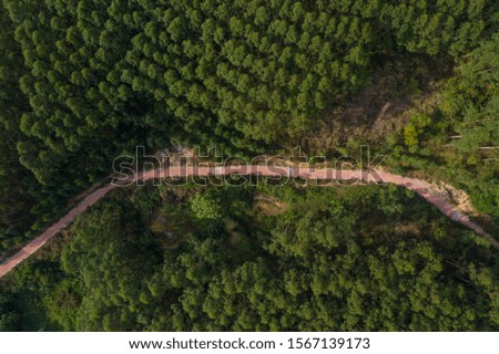 Aerial view of a hiking path through dense woods