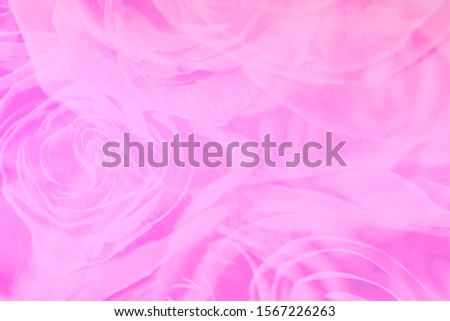 Blurred abstract pink roses background