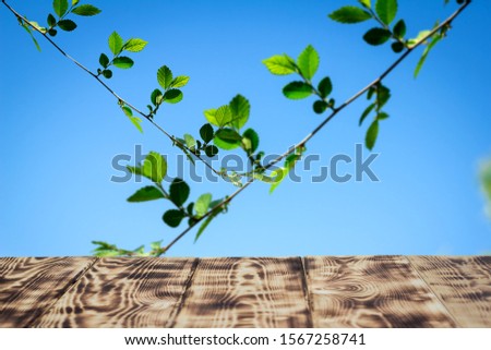 Wooden table against the sky and green leaves