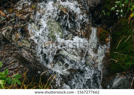 Scenic background of small waterfall on mossy rock close-up. Frozen motion of splashes of clear spring water. Mountain creek on rock with thick mosses. Colorful backdrop of rich alpine flora.