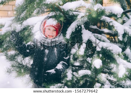 Baby boy laughs, sprinkles himself with snow from a pine tree. Snowflakes fall in the boy's face. The child is spoiled, naughty. Winter games in nature. Blurred image. Baby clothes in the snow.