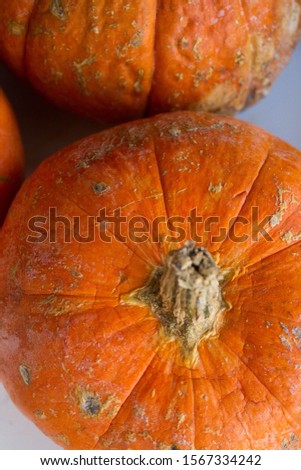 
Orange pumpkins with blurry background. Texture