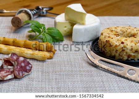 Cheese appetizer selection or Cheese and wine party table. Brie cheese, bread sticks and salami is great appetizer tostart your dinner.