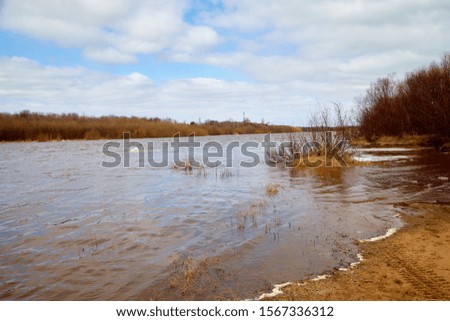 Spring landscape with river, yellow grass on the shore, trees without leaves and blue sky with white clouds in the background. Ice drift and flood on the river