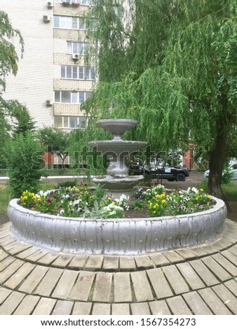 Flowerbed in the former fountain in the yard of an apartment building