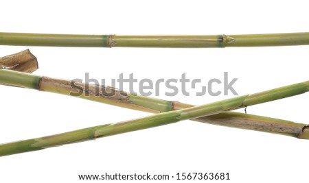 Bamboo sticks with leaves isolated on white background with clipping path