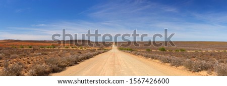 A straight dirt road through the dry Karoo semi-desert in South Africa.