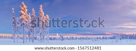 Wintry landscape in Finnish Lapland, photographed at sunset.