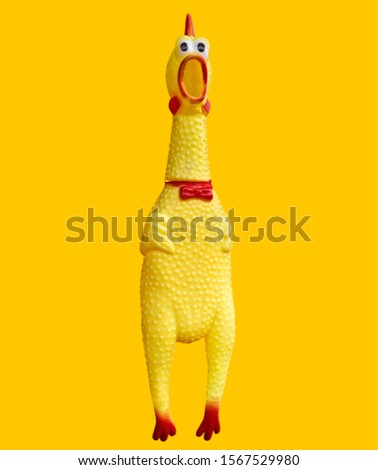 Shrilling Chicken squeaky toy, Chicken dolls are shocked. Toy rubber shriek yellow cock isolated on yellow background, clipping path included. Royalty-Free Stock Photo #1567529980