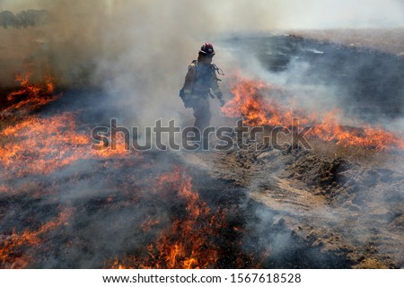 CAL FIRE conducts advanced live fire training in Williams, California.  Royalty-Free Stock Photo #1567618528