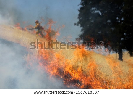 CAL FIRE conducts advanced live fire training in Williams, California.  Royalty-Free Stock Photo #1567618537