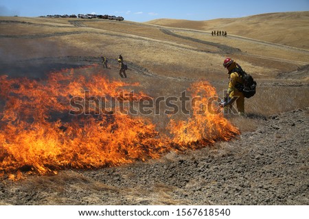 CAL FIRE conducts advanced live fire training in Williams, California.  Royalty-Free Stock Photo #1567618540