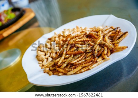 Selective focus on dish of spicy fried worms in asia. Traditional China meal. Healthy and benefits of Fried worm. China yunnan province. Royalty-Free Stock Photo #1567622461
