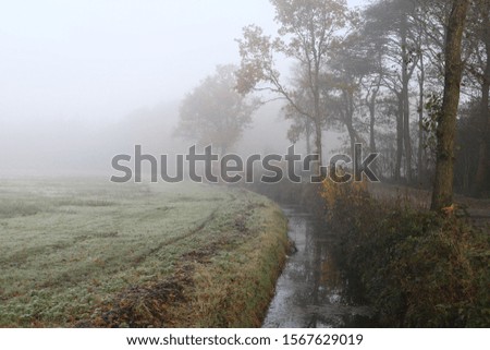 A wonderful picture of a dutch stream landscape on a morning with fog in wintertime.