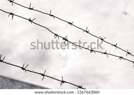 barbed wire and grey sky