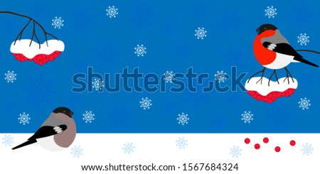 Merry christmas card with bullfinch on a branch of mountain ash and copy space. Red birds eat red berries of rowan, snowflakes fall. Beautiful new year vector stock illustration.