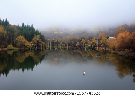 Water reflection in calm mountain pond