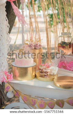 Candy Bar with Sweets. Cake, cookies, lemonade, creamy muffins, fresh berries for celebratory birthday. Candy Bar on the Outdoors.