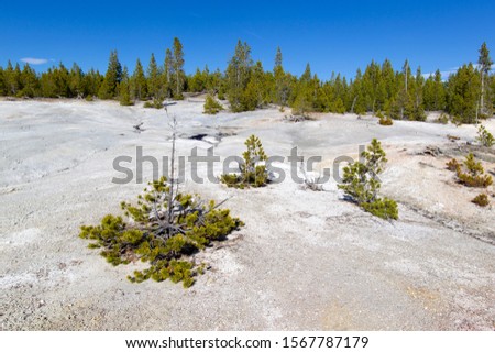  Norris Geyser Basin, Yellowstone National Park, Idaho, Montana and Wyoming, USA.