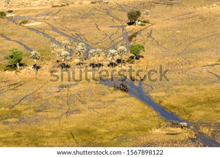 Aerial view of the Okavango Delta, Botswana, Africa.