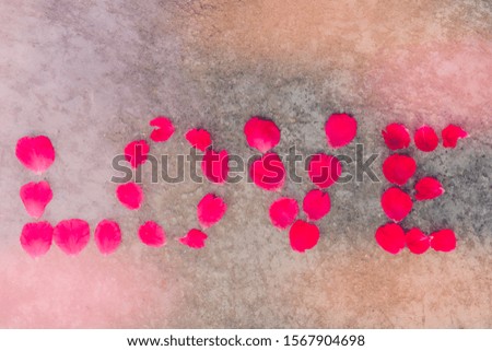 Word love from the petals of pink roses on shiny light background.
