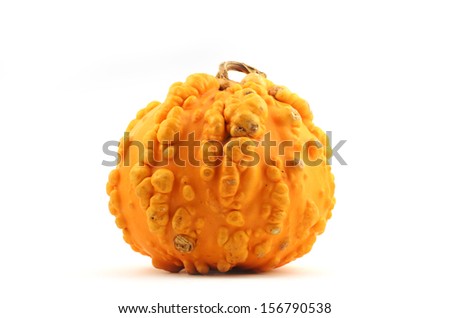 yellow squash with pimples on a white background