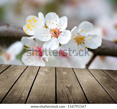 apple blossoms in spring and empty wooden deck table. Ready for product montage display. 