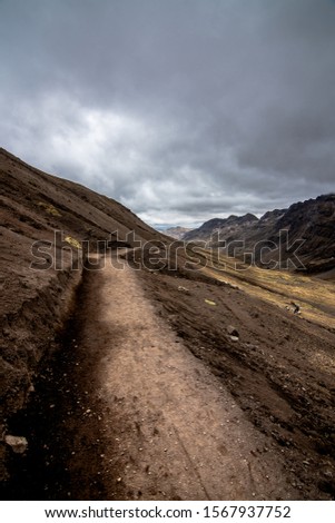 View of the road and its flora in Vinicunca mountain on a cold and cloudy day.