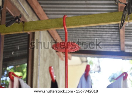 View of red hanger with blurred background in at backyard.
