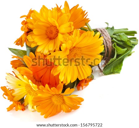 bouquet of orange flower of calendula Officinalis Isolated on white background