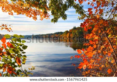 Beautiful New England Fall Foliage with reflections at sunrise, Boston Massachusetts. Royalty-Free Stock Photo #1567961425