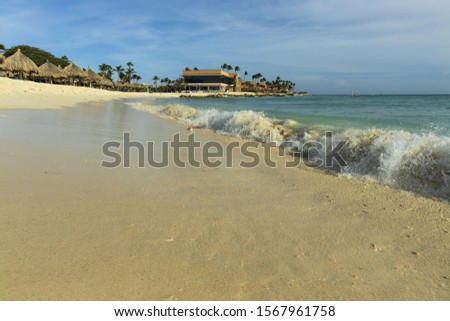 Big wave in Caribbean sea is breaking the coast. Eagle Beach of Aruba Island.  Beautiful nature background.