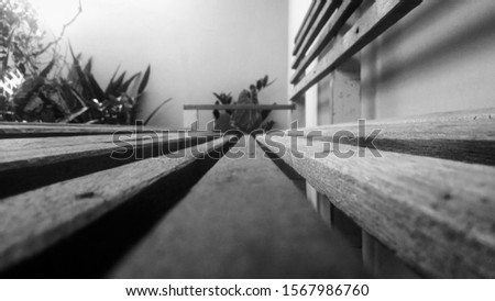 A bench is a kind of chair, a place where people can sit. Benches are long and often found outside, and more than one person can sit on them. Benches are usually made of wood, metal, stone, and other 