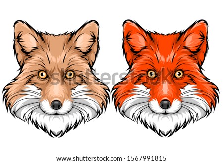 Two Face Smile Fox Vector Illustration 