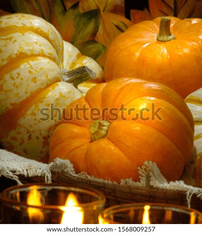 Thanksgiving Day and Halloween pumpkins.