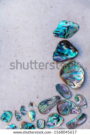 From above photo of shells, glass, stones, mother of pearl and Paua Shell in a circle - semi circle. 