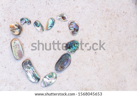 From above photo of shells, glass, stones, mother of pearl and Paua Shell in a circle - semi circle. 