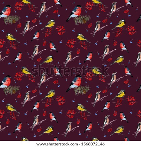 birds tit and bullfinch and a woodpecker sitting on a branch near the winter Park illustration, pattern