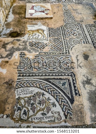 Mosaic floor of the basilica. The Church of Our Lady of Chrysopolis (Panagia). Basilica Chrysopolitissa. Paphos, Cyprus. 