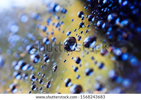 Drops of water on the glass. Macro background image.
