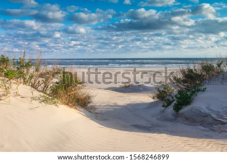 Coastal background of sand, ocean, dunes and sea oats at Pea Island on the Outer Banks of North Carolina. Royalty-Free Stock Photo #1568246899
