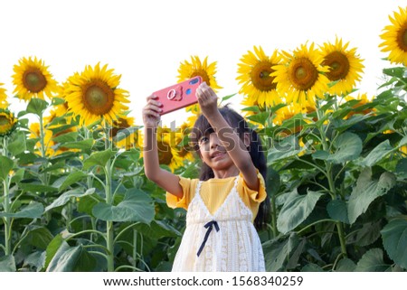 Asian little girl used mobile phone taking a selfie while going to sunflower field isolated on white background.