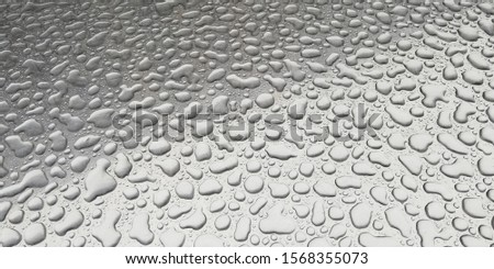 Water drops on a window.